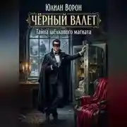 Постер книги Тайна шелкового магната