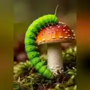 Постер книги Сказки о доброте