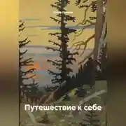 Постер книги Путешествие к себе