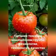 Постер книги Питание томата в защищённом грунте: физиология, технология, качество