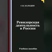 Постер книги Ревизорская деятельность в России