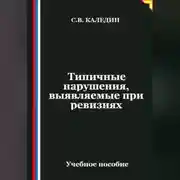 Постер книги Типичные нарушения, выявляемые при ревизиях