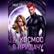 Постер книги И космос в придачу