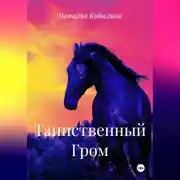 Постер книги Таинственный Гром