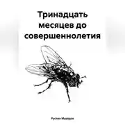 Постер книги Тринадцать месяцев до совершеннолетия