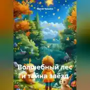 Постер книги Волшебный лес и тайна звёзд