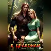 Постер книги Сквозь тернии к драконам