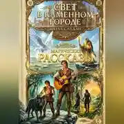 Постер книги Свет в каменном городе Сборник рассказов