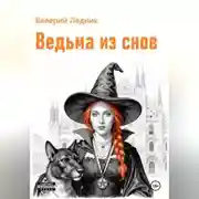 Постер книги Ведьма из снов