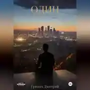 Постер книги ОДИН