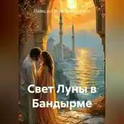 Постер книги Свет Луны в Бандырме