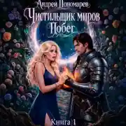 Постер книги Чистильщик миров
