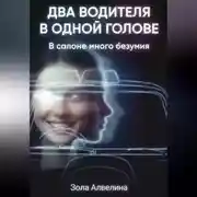 Постер книги Два водителя в одной голове. В салоне много безумия