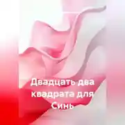 Постер книги Двадцать два квадрата для Синь