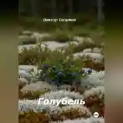 Постер книги Голубель