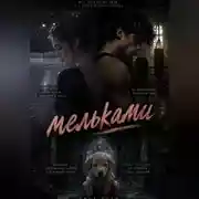 Постер книги Мельками