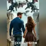 Постер книги Проводник
