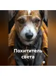 Петр Сойфер - Похититель света