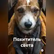 Постер книги Похититель света
