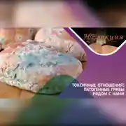 Постер книги ТОКСИЧНЫЕ ОТНОШЕНИЯ… с грибами