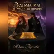 Постер книги Ведьма, маг и мелкий шрифт