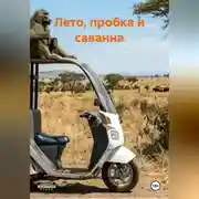 Постер книги Лето, пробка и саванна