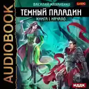 Постер книги Темный Паладин. Начало