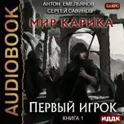 Постер книги Мир Карика. Первый игрок
