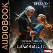 Постер книги Империя Тигвердов. Книга 3. Пламя мести