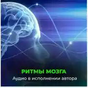 Постер книги Ритмы головного мозга