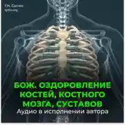 Постер книги Божественное оздоровление костей, костного мозга, суставов