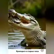 Постер книги Крокодил и старые часы
