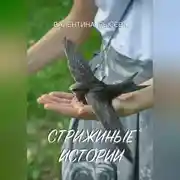 Постер книги Стрижиные истории