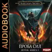 Постер книги Проба сил