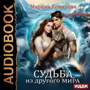 Постер книги Судьба из другого мира