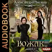 Постер книги Темный лес. Вожак