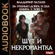 Постер книги Книга 1. Том 1. Шут и Некромантка