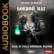 Постер книги Как я стал боевым магом
