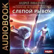 Постер книги Слепой Рывок
