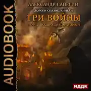 Постер книги Три войны. том 2: Возвращение домой