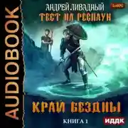 Постер книги Тест на респаун. Край Бездны