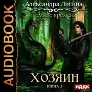 Постер книги Темные времена. Хозяин
