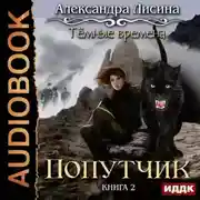Постер книги Темные времена. Попутчик