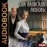Постер книги Она написала любовь