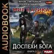 Постер книги Мир Карика. Доспехи бога