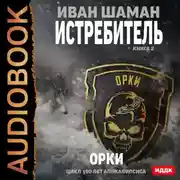 Постер книги Истребитель 2: Орки