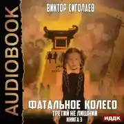 Постер книги Фатальное колесо. Третий не лишний