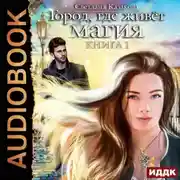 Постер книги Город, где живёт магия