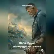 Постер книги Волшебник изумрудного газона