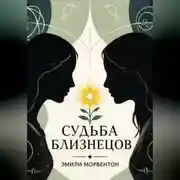Постер книги Судьба близнецов: Мир ада и рая